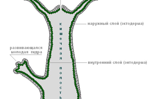 Кракен даркнет только через